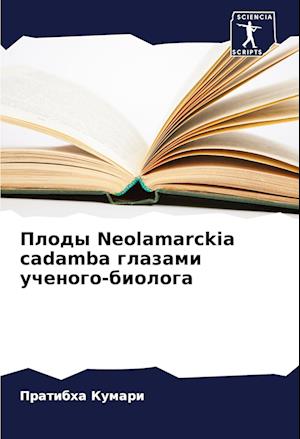 Plody Neolamarckia cadamba glazami uchenogo-biologa