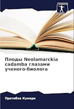 Plody Neolamarckia cadamba glazami uchenogo-biologa