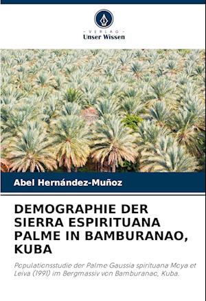 DEMOGRAPHIE DER SIERRA ESPIRITUANA PALME IN BAMBURANAO, KUBA