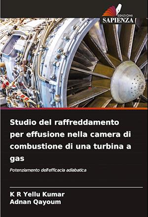 Studio del raffreddamento per effusione nella camera di combustione di una turbina a gas