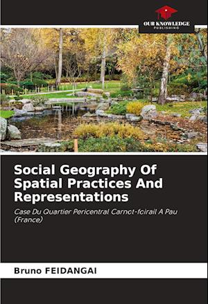 Social Geography Of Spatial Practices And Representations