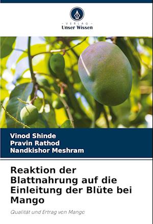 Reaktion der Blattnahrung auf die Einleitung der Blüte bei Mango