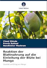 Reaktion der Blattnahrung auf die Einleitung der Blüte bei Mango