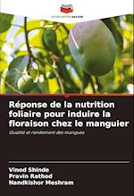 Réponse de la nutrition foliaire pour induire la floraison chez le manguier