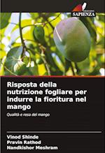 Risposta della nutrizione fogliare per indurre la fioritura nel mango