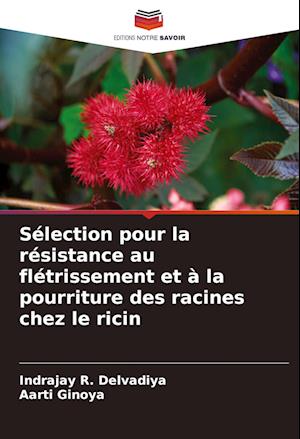 Sélection pour la résistance au flétrissement et à la pourriture des racines chez le ricin