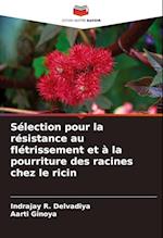 Sélection pour la résistance au flétrissement et à la pourriture des racines chez le ricin