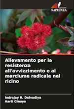 Allevamento per la resistenza all'avvizzimento e al marciume radicale nel ricino