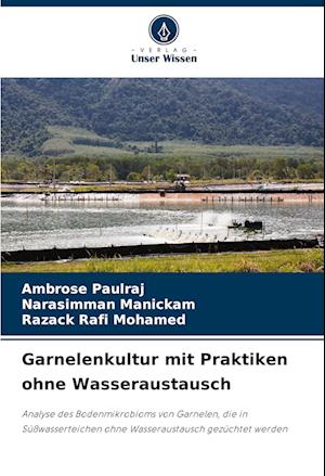 Garnelenkultur mit Praktiken ohne Wasseraustausch