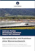 Garnelenkultur mit Praktiken ohne Wasseraustausch