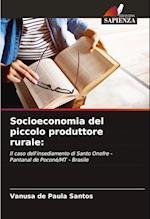 Socioeconomia del piccolo produttore rurale: