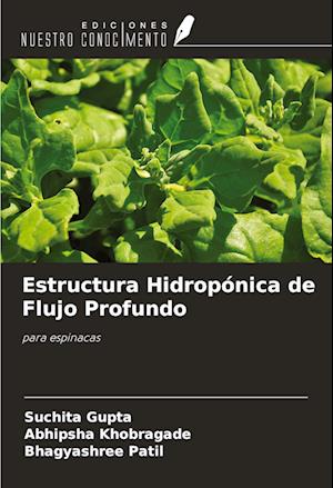 Estructura Hidropónica de Flujo Profundo