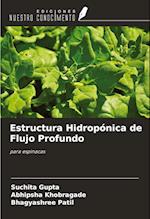 Estructura Hidropónica de Flujo Profundo