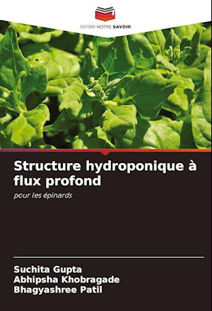 Structure hydroponique à flux profond