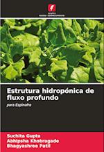 Estrutura hidropónica de fluxo profundo