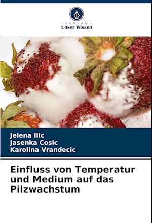 Einfluss von Temperatur und Medium auf das Pilzwachstum