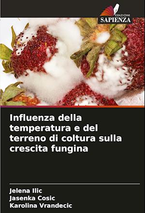 Influenza della temperatura e del terreno di coltura sulla crescita fungina