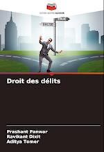 Droit des délits