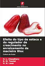 Efeito do tipo de estaca e do regulador de crescimento no enraizamento da macieira Wax