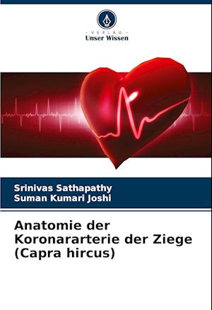 Anatomie der Koronararterie der Ziege (Capra hircus)