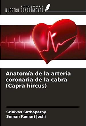 Anatomía de la arteria coronaria de la cabra (Capra hircus)