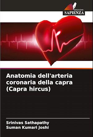 Anatomia dell'arteria coronaria della capra (Capra hircus)