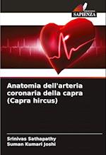 Anatomia dell'arteria coronaria della capra (Capra hircus)