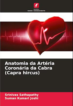 Anatomia da Artéria Coronária da Cabra (Capra hircus)