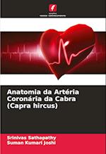 Anatomia da Artéria Coronária da Cabra (Capra hircus)