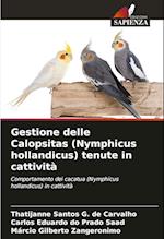 Gestione delle Calopsitas (Nymphicus hollandicus) tenute in cattività