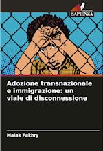 Adozione transnazionale e immigrazione: un viale di disconnessione