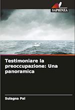 Testimoniare la preoccupazione: Una panoramica