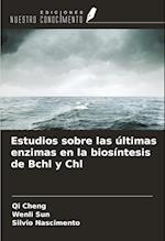 Estudios sobre las últimas enzimas en la biosíntesis de Bchl y Chl