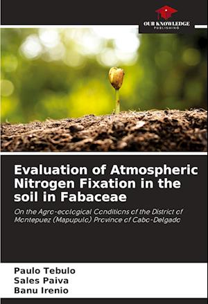 Evaluation of Atmospheric Nitrogen Fixation in the soil in Fabaceae