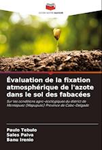 Évaluation de la fixation atmosphérique de l'azote dans le sol des fabacées