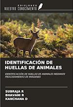 IDENTIFICACIÓN DE HUELLAS DE ANIMALES