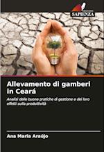 Allevamento di gamberi in Ceará