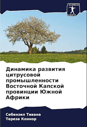 Dinamika razwitiq citrusowoj promyshlennosti Vostochnoj Kapskoj prowincii Juzhnoj Afriki