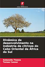 Dinâmica de desenvolvimento na indústria de citrinos do Cabo Oriental da África do Sul