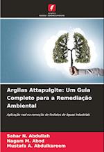 Argilas Attapulgite: Um Guia Completo para a Remediação Ambiental