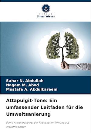 Attapulgit-Tone: Ein umfassender Leitfaden für die Umweltsanierung