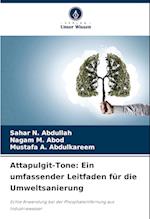 Attapulgit-Tone: Ein umfassender Leitfaden für die Umweltsanierung