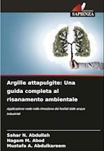 Argille attapulgite: Una guida completa al risanamento ambientale