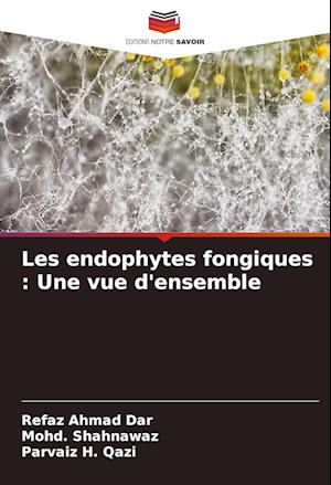 Les endophytes fongiques : Une vue d'ensemble