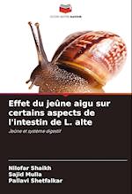 Effet du jeûne aigu sur certains aspects de l'intestin de L. alte