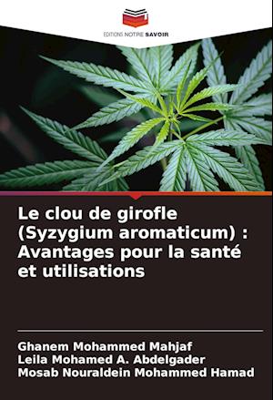 Le clou de girofle (Syzygium aromaticum) : Avantages pour la santé et utilisations