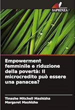 Empowerment femminile e riduzione della povertà: Il microcredito può essere una panacea?