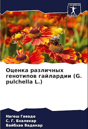 Ocenka razlichnyh genotipow gajlardii (G. pulchella L.)