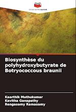 Biosynthèse du polyhydroxybutyrate de Botryococcous braunii