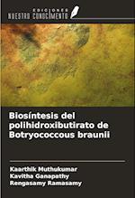 Biosíntesis del polihidroxibutirato de Botryococcous braunii